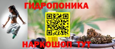 ешки Краснодар