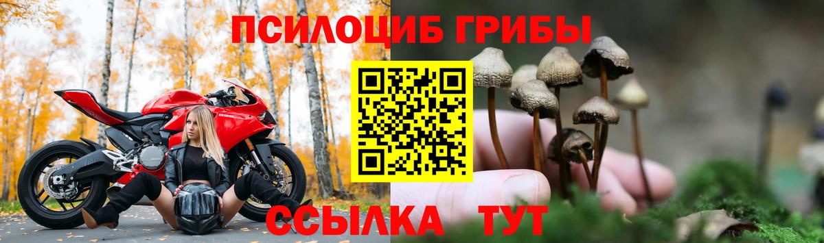Галлюциногенные грибы Magic Shrooms Каменка