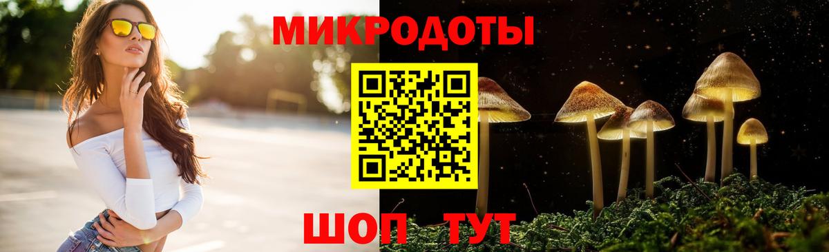 цены наркотик  Вход с VPN  Псилоцибиновые грибы MAGIC MUSHROOMS  Каменка  Псилоцибиновые грибы ЛСД 
